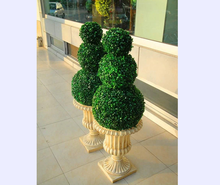 Luxury Topiaries For Indoor & Outdoor