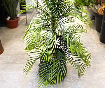 Small Artificial Areca Palm Plant with Decorative Pot - Height 40 inches