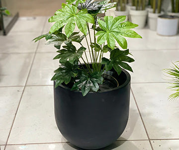 U Shaped Different Artificial Plants