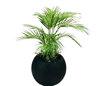 Artificial Palm Plant with Round Black and White Planter - 28 Inches Tall