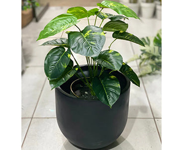 U Shaped Different Artificial Plants