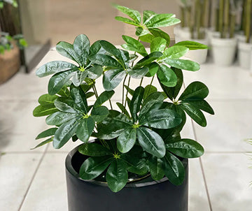 U Shaped Different Artificial Plants