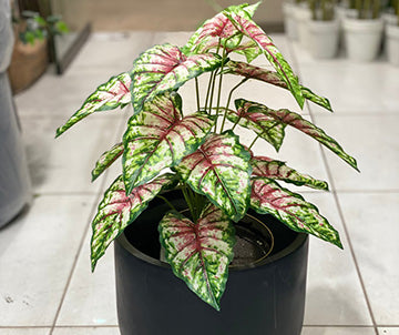 U Shaped Different Artificial Plants