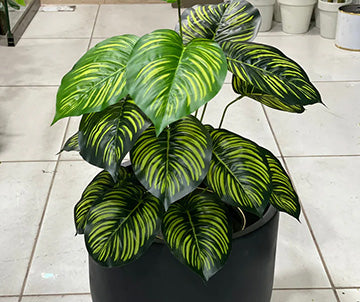U Shaped Different Artificial Plants