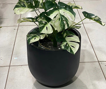 U Shaped Different Artificial Plants