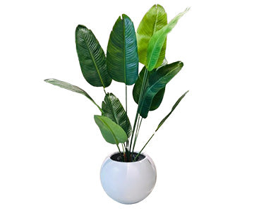 Rubber Banana With Round Planter - Height 5 Ft