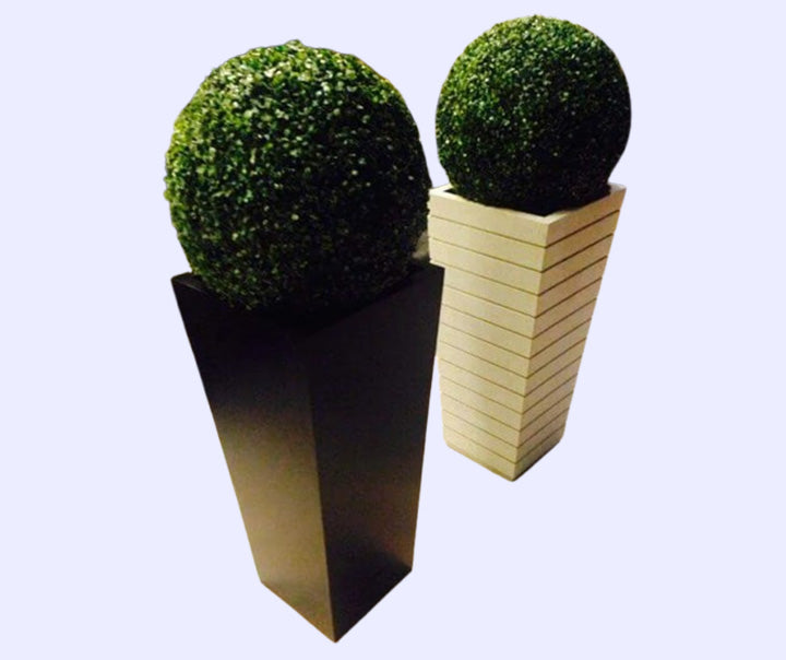 Luxury Topiaries For Indoor & Outdoor