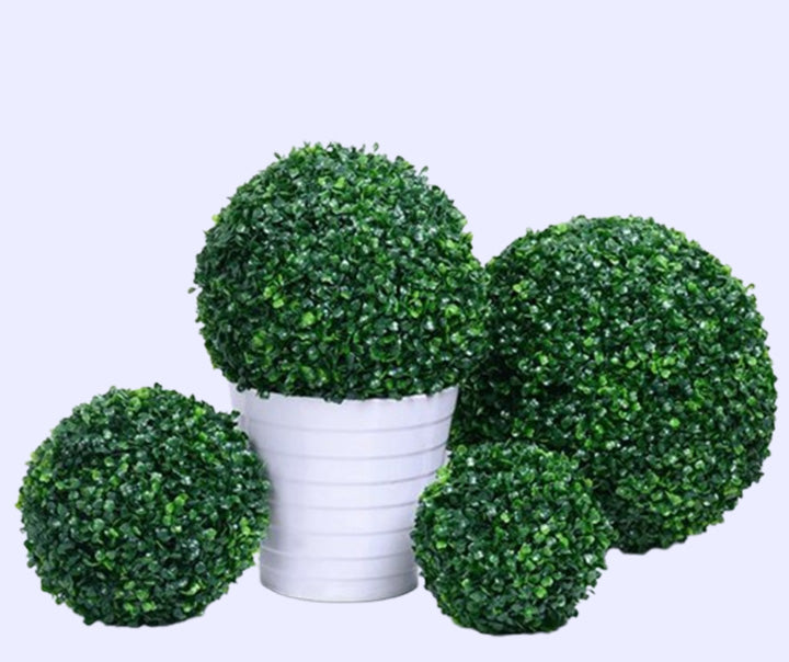 Luxury Topiaries For Indoor & Outdoor