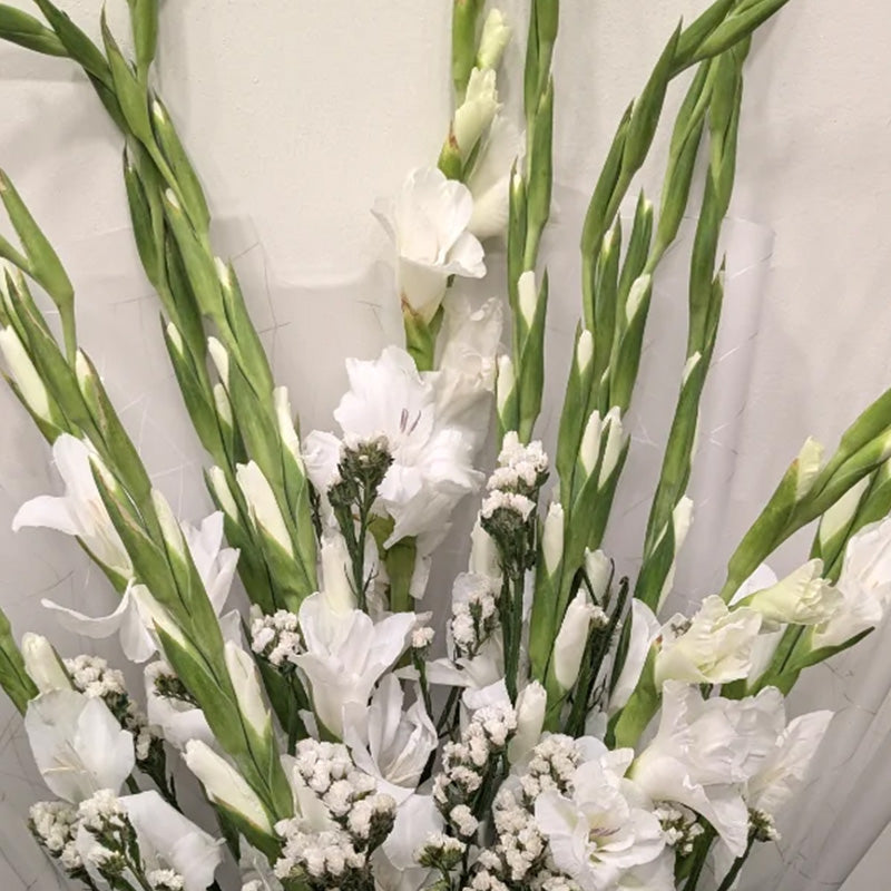 Elegant White Gladiolus Bouquet
