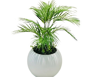 Artificial Palm Plant with Round Black and White Planter - 28 Inches Tall